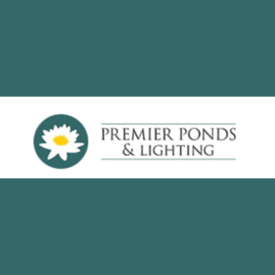 Untitled design (18).png