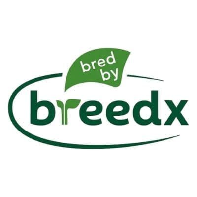 breedx_____innovation_in_pepper___tomato_breeding_480.jpg