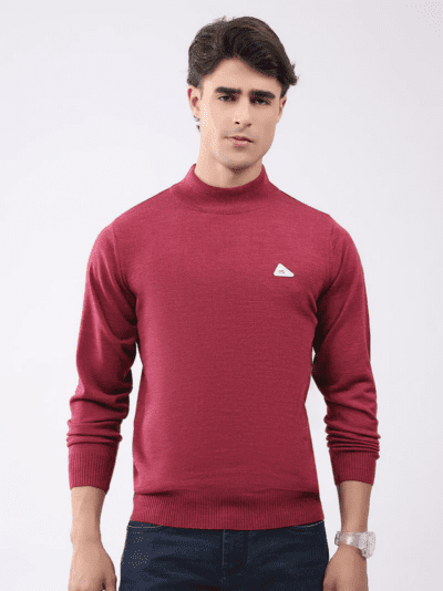 men sweater (1).png