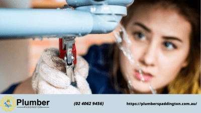 Paddington banner .png