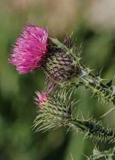 115952976_718883262005881_365080019822356131_n - Copy.jpg