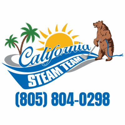 CA steam team SMM LOGO.png
