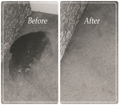 c0343797c7d7b67cbcce1d75e33ffdae.Best-Carpet-Cleaning-Mernda.png