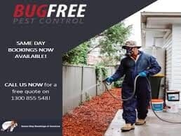 bug free.jpg