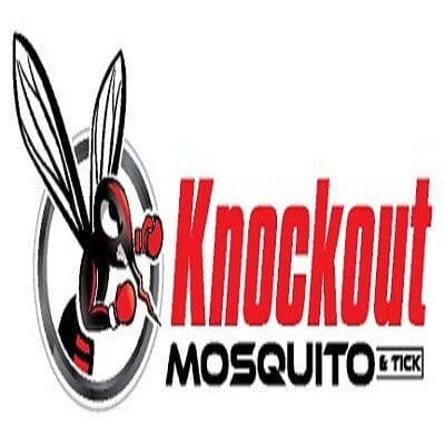 Knockout- 400.jpg